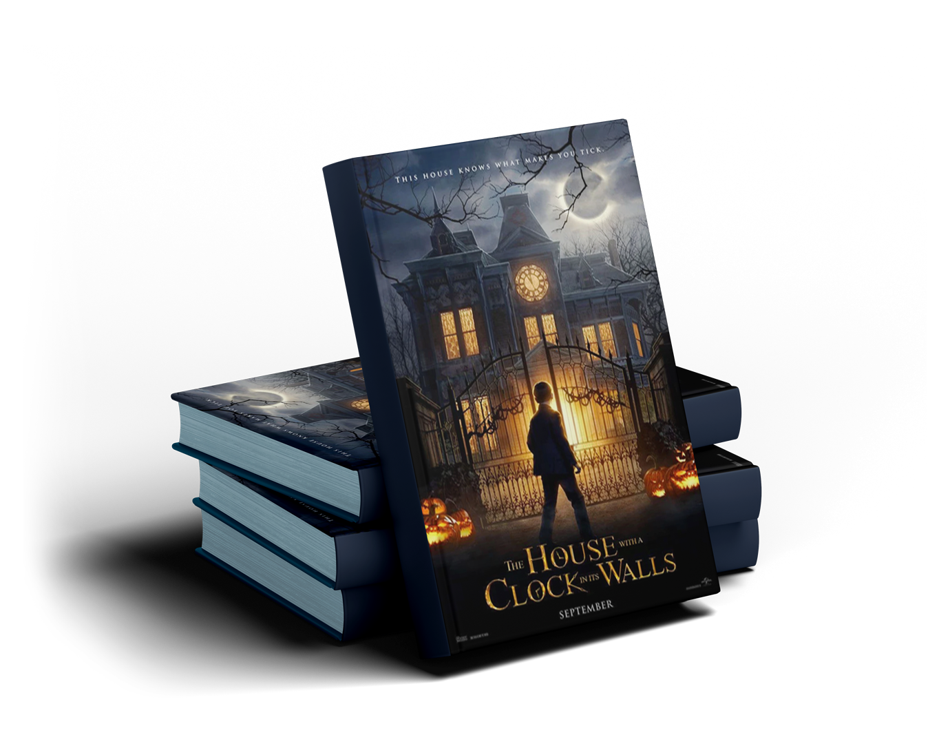 Get Free Consultancy